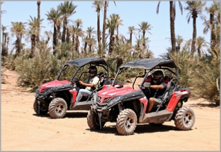 COMBINED BUGGY CAMEL MARRAKECH PALM GROVE