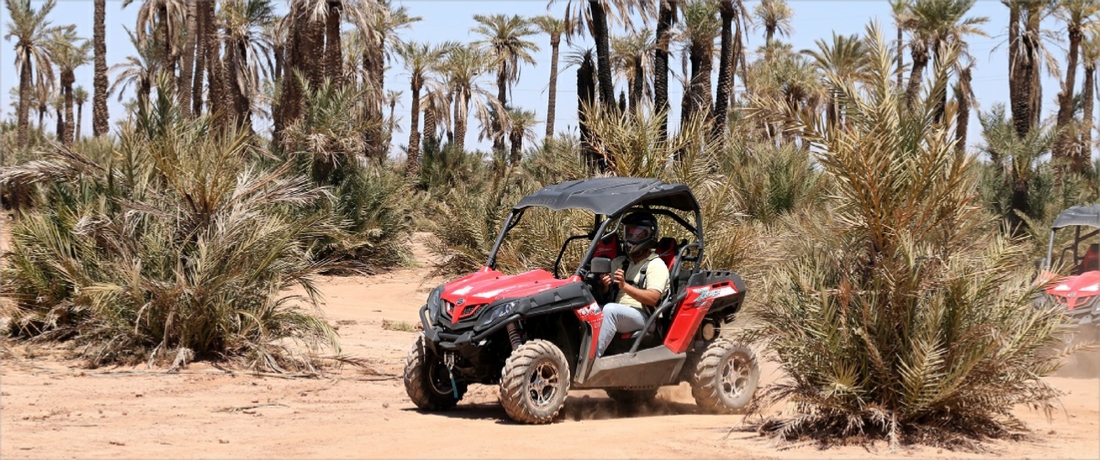 HALF DAY BUGGY MARRAKECH PALM GROVE