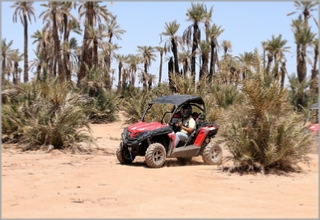 HALF DAY BUGGY MARRAKECH PALM GROVE