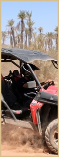 Stay Safe While Quad Biking, Buggy Riding, and Camel Riding in Marrakech Palmieries and Agafay Desert