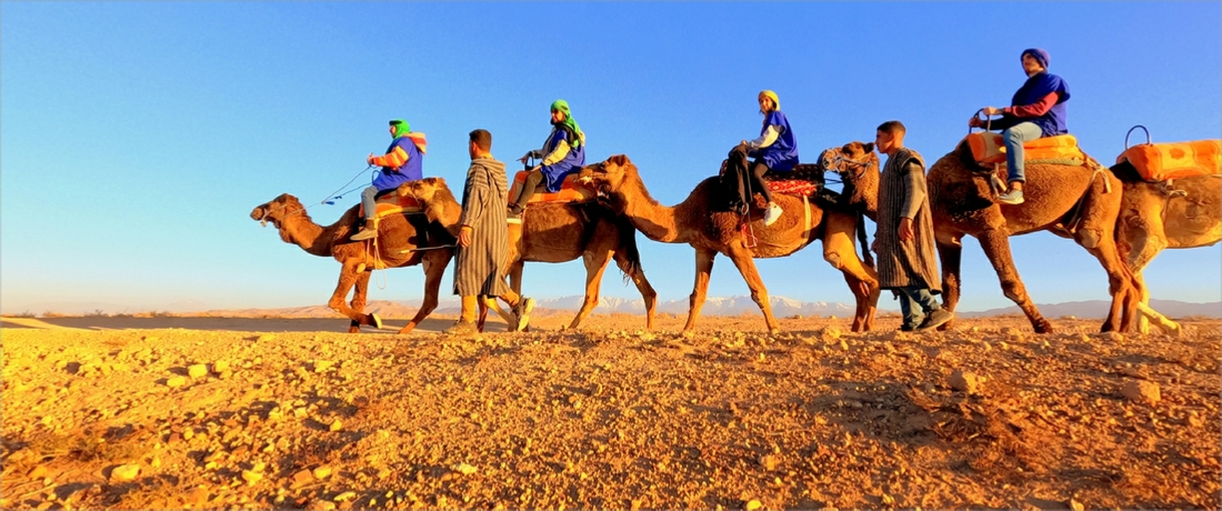 Combined Quad Biking and Camel Trek in Agafay Desert - Marrakech Quad Buggy