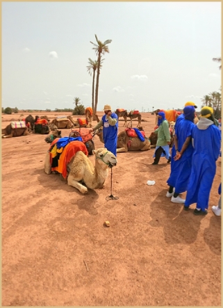 Stay Safe While Quad Biking, Buggy Riding, and Camel Riding