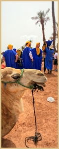 Frequently Asked Questions (FAQ) for Quad Biking, Buggy and Camel Ride in Marrakech