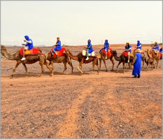 Combined Quad Ride and Camel Ride in Marrakech Palm Grove Oases