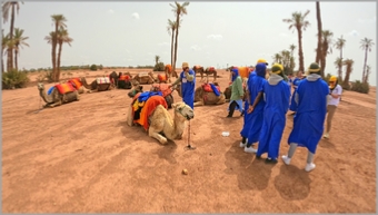 Quad and Buggy Rides and Camel Rides in Marrakech