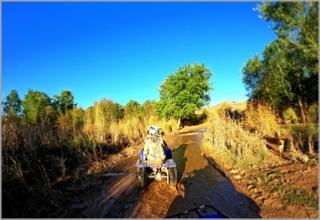 Combined Quad Biking and Camel Trek in Agafay