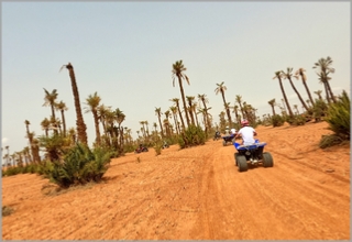 1/2 DAY QUAD BIKING PALM GROVE MARRAKECH