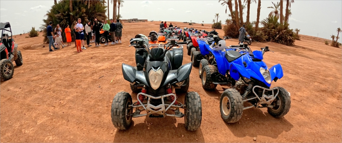 Reasons why you should book a quad buggy camel ride with "Marrakech Quad Buggy"