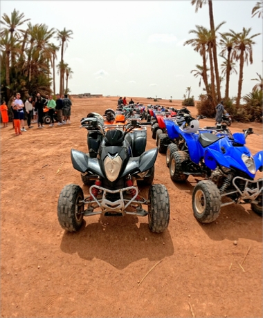 Reasons why you should book a quad buggy camel ride with "Marrakech Quad Buggy"