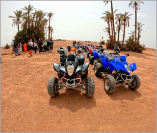 Combined Quad Ride and Camel Ride in Marrakech Palm Grove Oases