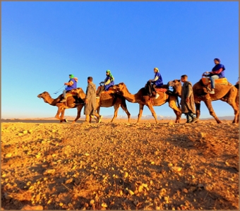 Adventure Camel trek in Agafay desert