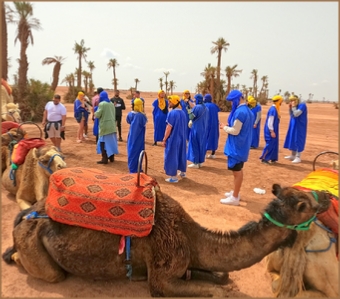 Camel trek in Marrakech Palmeries