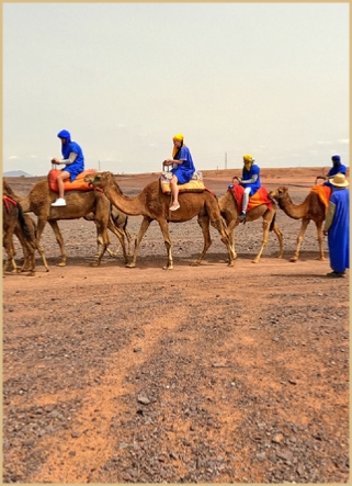 Morocco Assistance For Motorcycle Tours in Merzouga Desert