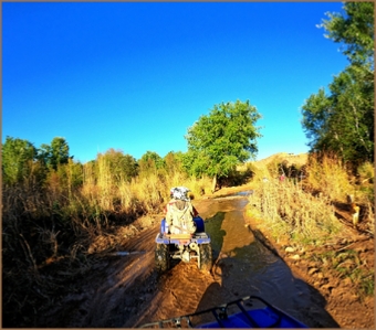 1/2 DAY QUAD BIKING IN AGAFAY DESERT