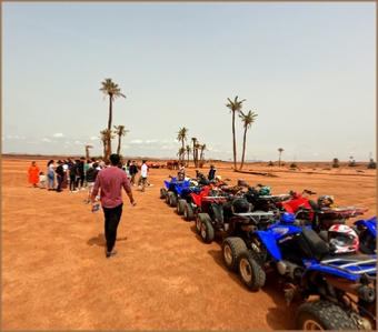 1/2 DAY QUAD BIKING PALM GROVE MARRAKECH