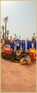 Frequently Asked Questions (FAQ) for Quad Biking, Buggy and Camel Ride in Marrakech