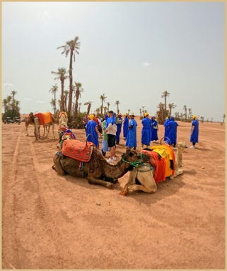 Frequently Asked Questions (FAQ) for Quad Biking, Buggy and Camel Ride in Marrakech