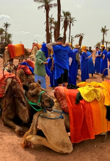 Marrakech Quad Buggy